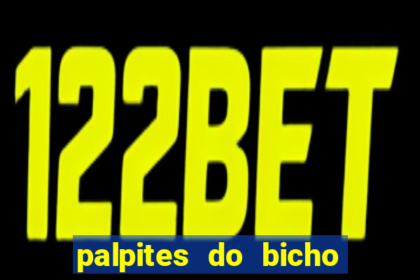 palpites do bicho no celular